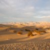 Death Valley 29